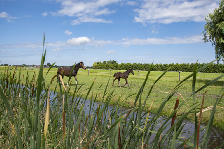20220704_Platteland appartementen_28