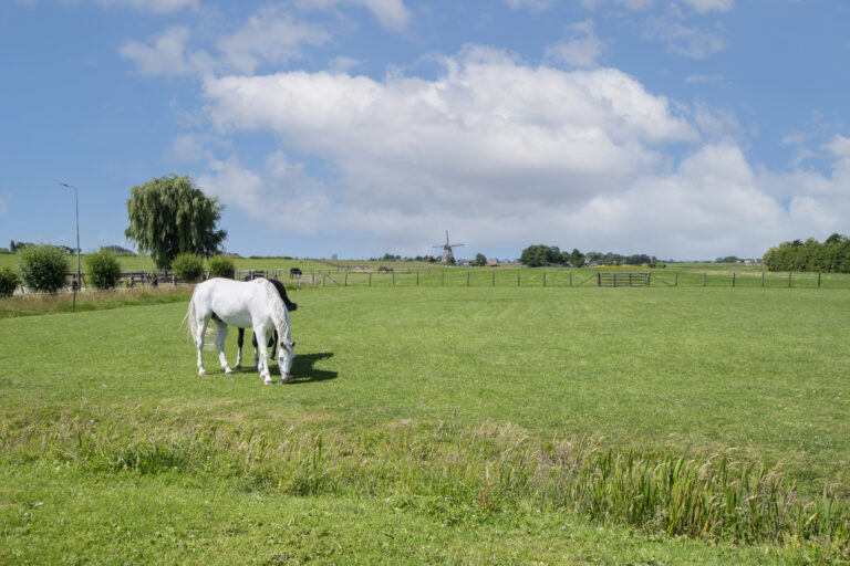 Appartement Rijpwetering voorwaarden